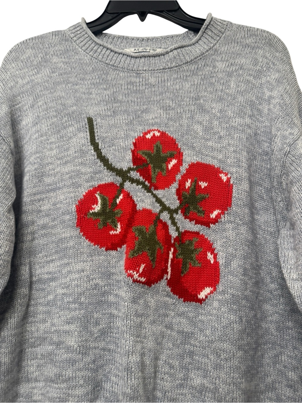 American Eagle Big Hug Oversized Crewneck Sweater with Red Tomato Motif - Picture 4 of 6